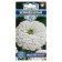 Seeds of Tsinnia Flowers "Giant White", series Russian hero, 0.3 g