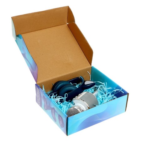 Game set "Kotik": microphone, headphones with ears-11