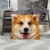 Decorative Ethel Pillow "Corgi" 40x40 cm, Gabardin, 100% p/e