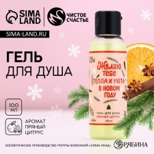 The shower gel “warmth and comfort in the new year!”, 100 ml, the aroma of a spicy citrus, pure happiness