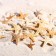 A set of natural sea stars, 1.5 - 2.5 cm, 20 pcs