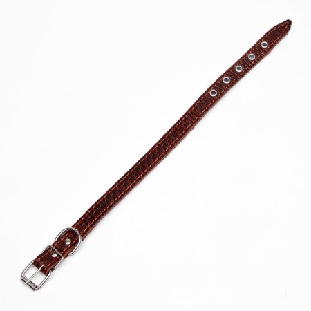 Leather collar with embossing on synthetic winterizer, 46 x 2 cm, Osh 25-35 cm, brown-3