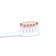 Adult toothbrush with a wide head and soft bristles, transparent, gray
