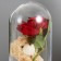 Nightlight "Bear with Flower" LED from batteries 3xlr44 11x11x21 cm