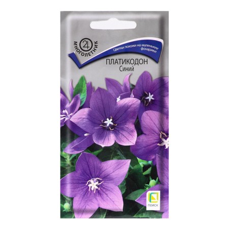 Flowers of Platicodon "Blue", 0.1g