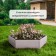 Galvanized flowerbed, d = 100 cm, h = 15 cm, Greengo