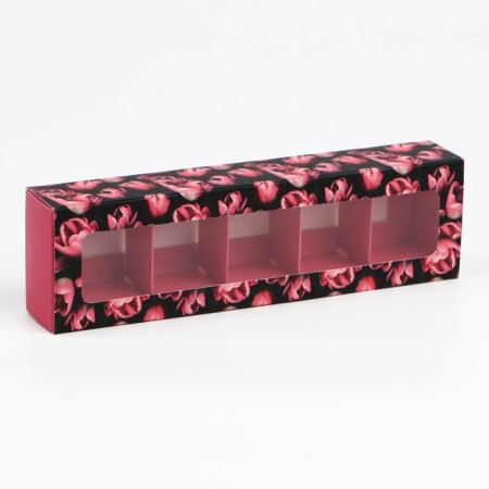Box for 5 sweets with fuchsia cells, 21 x 3.3 x 5.8 cm-1