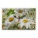 Carty clock is wall-mounted, interior "chamomiles", silent, 30 x 20 cm