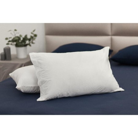 Organic pillow, size 50x70 cm