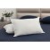 Organic pillow, size 50x70 cm