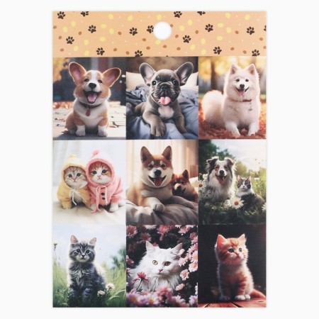 A set of paper stickers "Kotops", 10 pieces, 11 x 15.5 cm-3