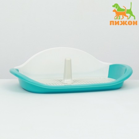Dog toilet, 57 x 42 x 16 cm, white/blue