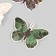 Butterflies cardboard "Geometry with gold" set 12 pcs h = 4-10 cm