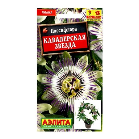 Passiflora seeds "Cavalier Star", 5pcs