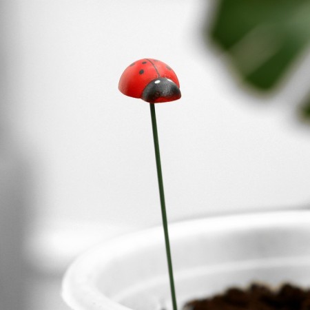 STETER "God's ladybug Darley" 2.5cm, length 25cm, set 10pcs-1