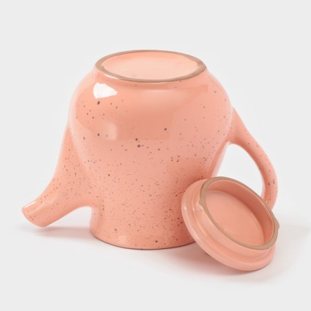 Teapot "Sonata" 0.8l / 11.5x17cm, flamingos-3
