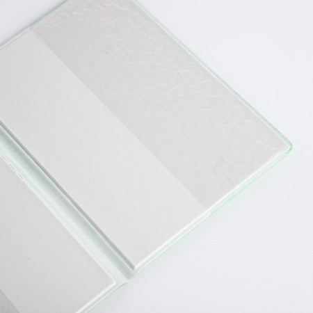 Cover for passport, light color-5