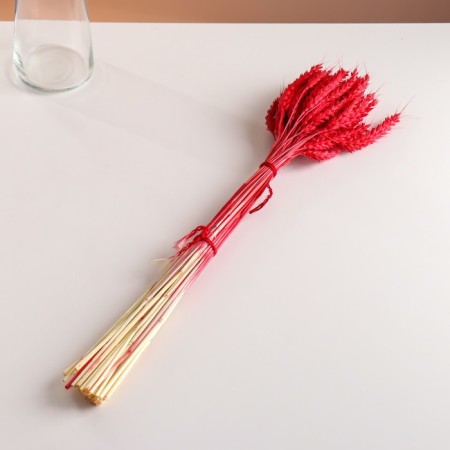 Set of dried flowers "wheat", banch 35-40 pcs, length 50-60 (+/- 6 cm), red-3
