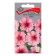 Flower flowers petunia of multiflora Galo Eprikot, 10pcs