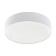 Romao 1, 1x40W LED lamp, 3000-5000K, 4000LM, white color
