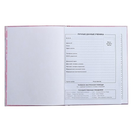 Universal Diary Grade 1-11, 48 sheets "Cat with a donut", hard cover, glossy lamination, foil embossing-5