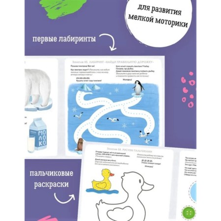 Альбом для развития мозга малыша. Писарева Е.-4