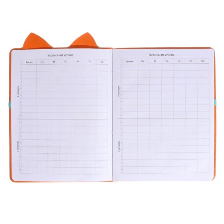 Universal diary for grade 1-11 Fox, hard cover, artificial leather, foam rubber, lies, 80 g/m2-4