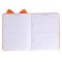 Universal diary for grade 1-11 Fox, hard cover, artificial leather, foam rubber, lies, 80 g/m2