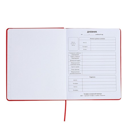 The universal diary for the 1-11 classes "Anime", a solid cover made of artificial leather, application, lies, 48 ​​sheets, red-3