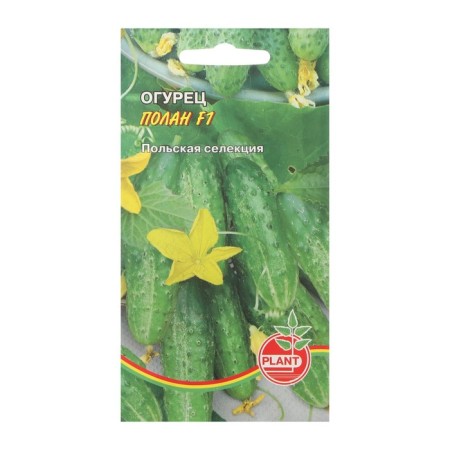 Seeds of cucumber "Plan", 10 pcs
