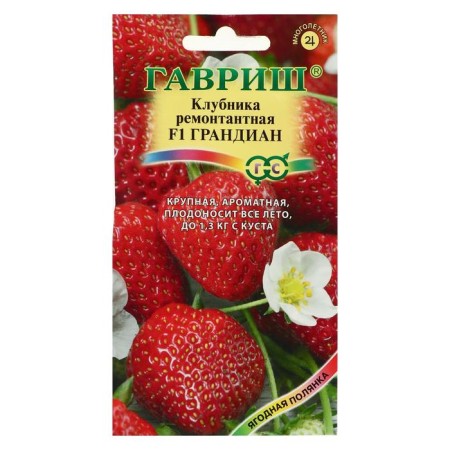 Strawberries "Grandian", F1, 5 pcs
