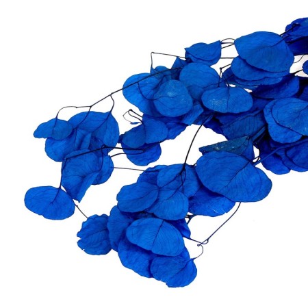 Sukhotzet of peach wood, 50 g, length - 70 cm, blue color-4