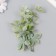 Artificial plant for creating a florarium "Ostrosoli Troika" 17.5 cm