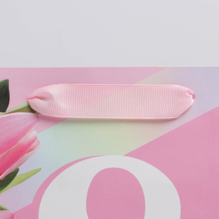 Gift Laminated Vertical Package, Packaging, “March 8”, Ml 23 x 27 x 11.5 cm-2