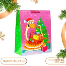 Gift package 