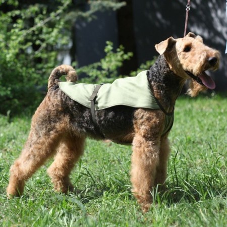 Cooling Popon for dogs OSSO, 35 (DS 35 cm, Osh up to 36 cm)