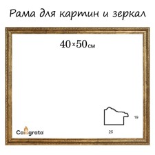 Frame for paintings (mirrors) 40 x 50 x 2.5 cm, plastic, adele, gold