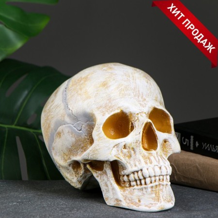 Pigger "Skull" bone, 16x13x22cm