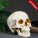 Pigger "Skull" bone, 16x13x22cm