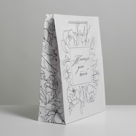 Gift laminated package, packaging, for you, ml 21 x 25 x 8 cm-4