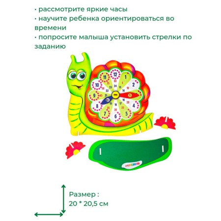 Snail clock-1