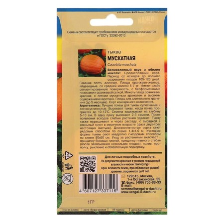 Seeds of pumpkin "Muscat", 1 g-1