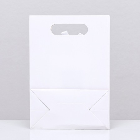 Box-pack, with a window, white, 20 x 14 x 7 cm-1