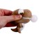 Dinosaurus nail poutes a ball
