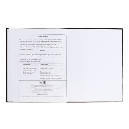School diary for grades 1-11 "Leo", covered cardboard, glossy lamination, embossing foil, universal cheat sheet, 48 sheets, block 65g/m2-11