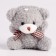 Soft toy "lovely teddy bear" in a set with stickers