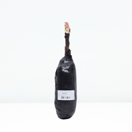 Pion tree "Ornament", tube, 1 pc, spring 2025-2