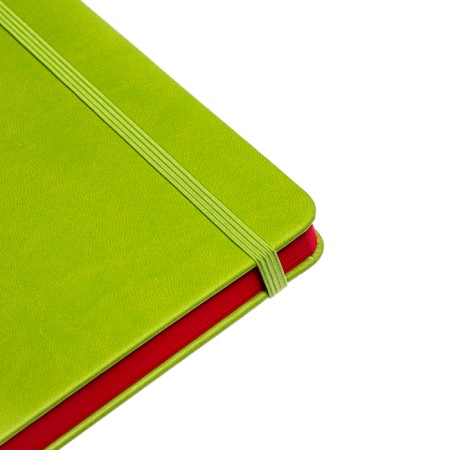 Leduced Diary A5, 140l, Cage, leatherette, elastic band, red cut, green-5