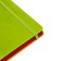 Leduced Diary A5, 140l, Cage, leatherette, elastic band, red cut, green