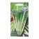 Seeds Mangold "Mirage", 2 g